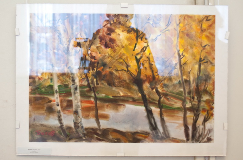 В Севастополе открылась выставка Якова Басова