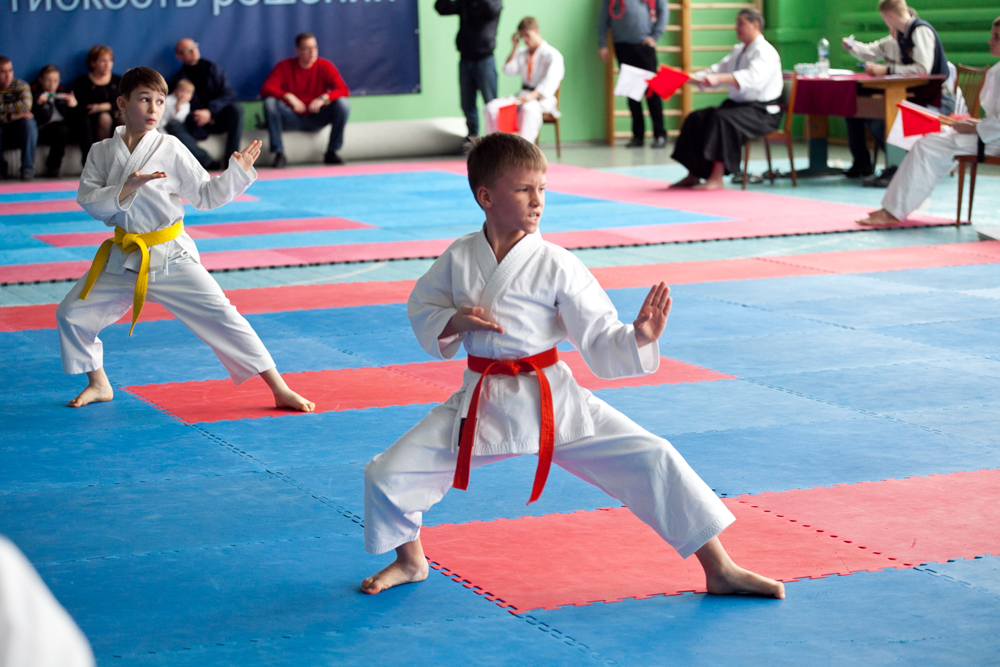 В Севастополе прошел чемпионат по каратэ-до 