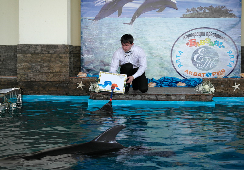 В Ялте состоялась первая в Украине свадьба дельфинов