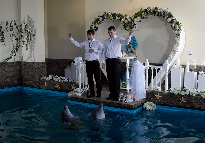 В Ялте состоялась первая в Украине свадьба дельфинов