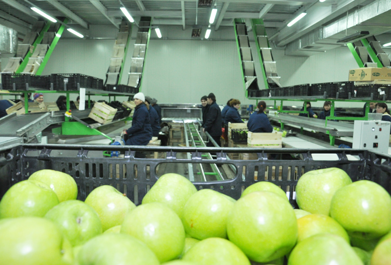 Продукция крымских товаропроизводителей конкурентоспособна и востребована, – Могилев