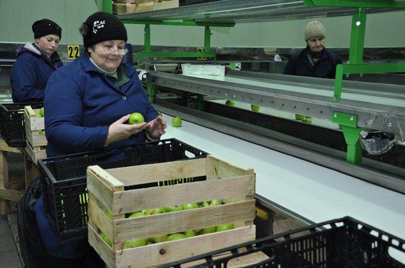 Продукция крымских товаропроизводителей конкурентоспособна и востребована, – Могилев