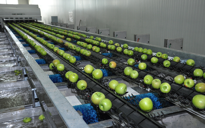 Продукция крымских товаропроизводителей конкурентоспособна и востребована, – Могилев