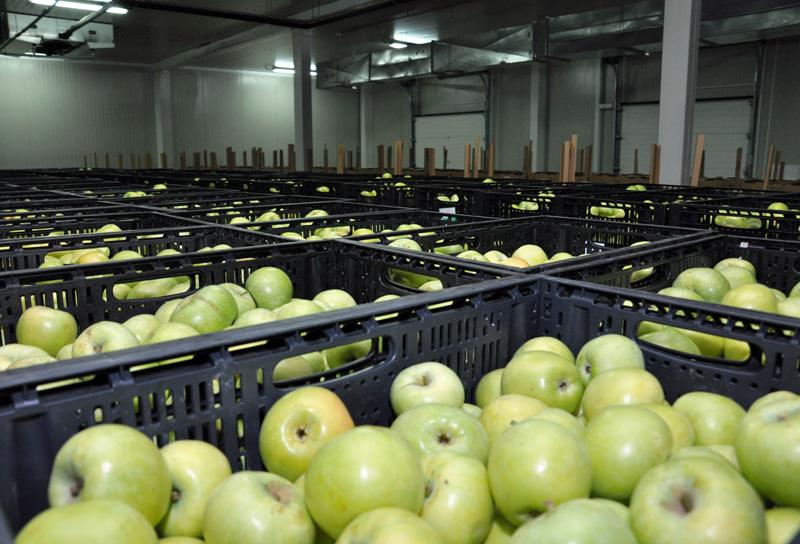 Продукция крымских товаропроизводителей конкурентоспособна и востребована, – Могилев