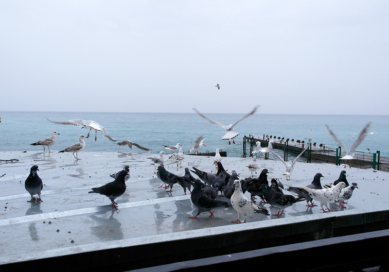 Обстановка в Ялте остается стабильной