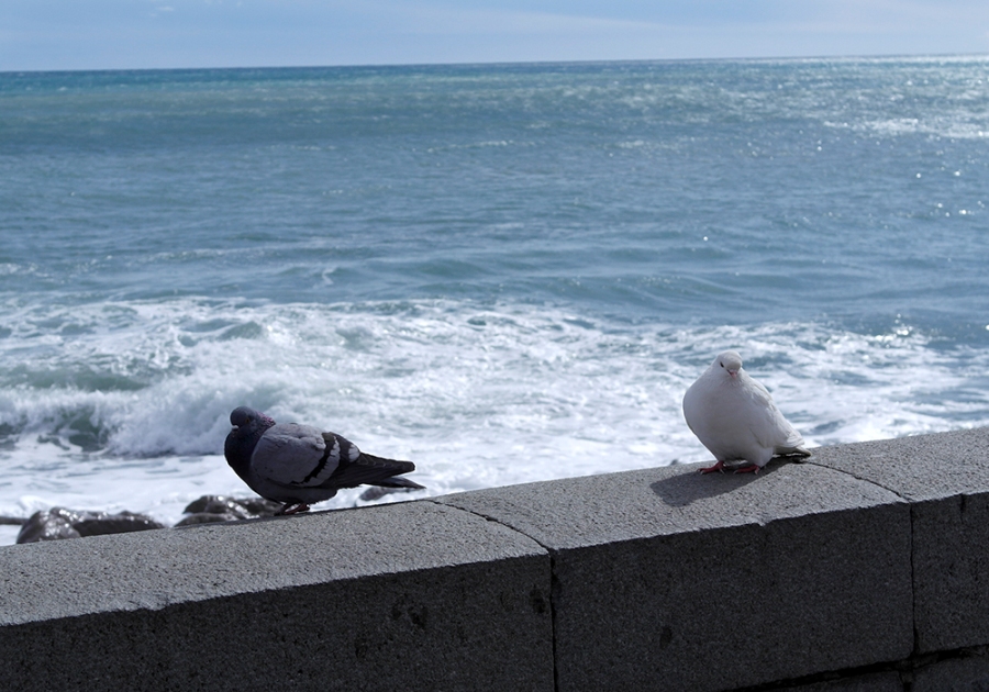 В Ялте референдум проходит спокойно