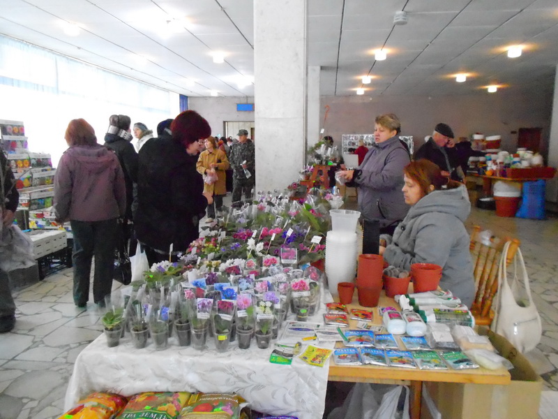 В Алуште открылась выставка «Зеленый мир»