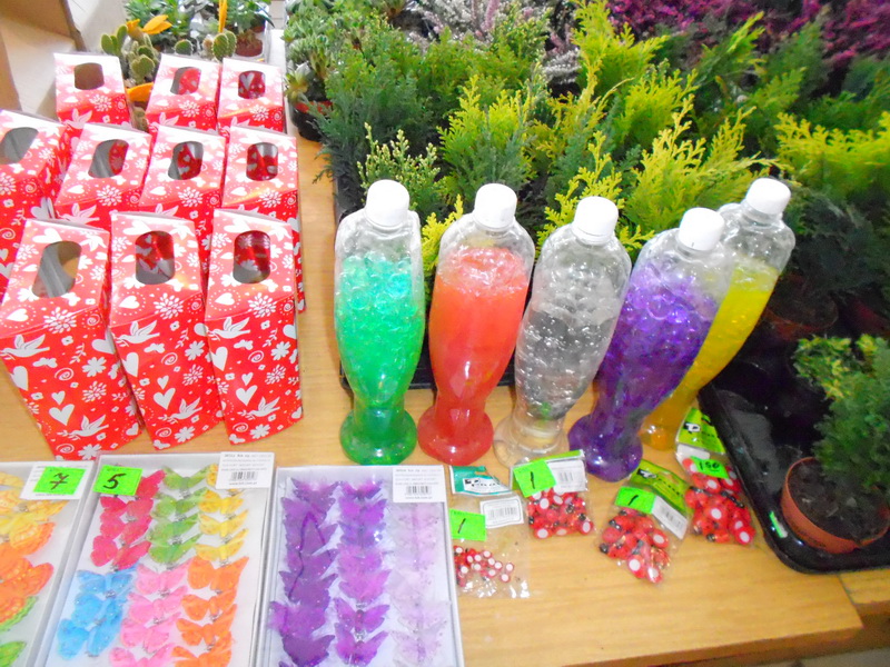 В Алуште открылась выставка «Зеленый мир»