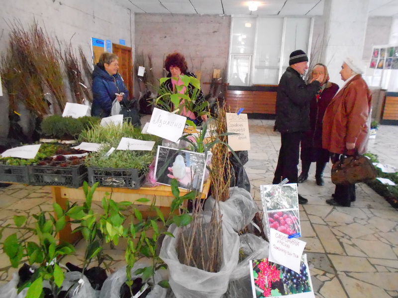 В Алуште открылась выставка «Зеленый мир»