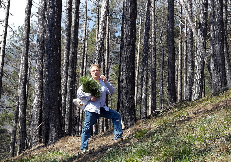 На горельнике Ялтинского заповедника высадили около 300 саженцев