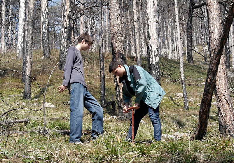 На горельнике Ялтинского заповедника высадили около 300 саженцев