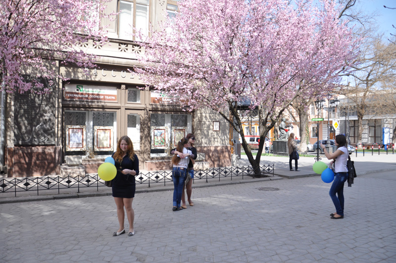 В центре Симферополя зацвела слива