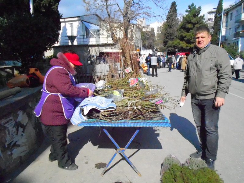 В Алуште проходит весенняя сельскохозяйственная ярмарка