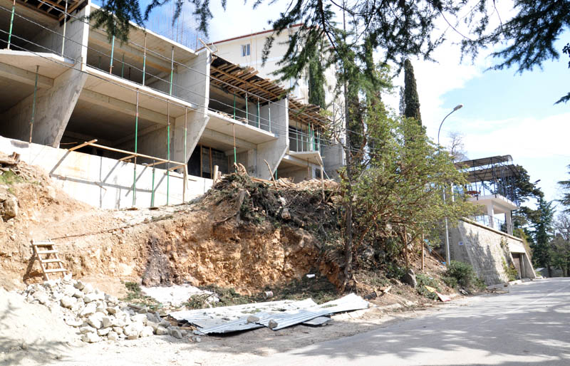 На ЮБК уничтожаются краснокнижные деревья