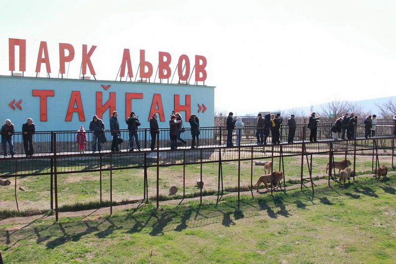 В сафари-парке «Тайган» отпраздновали воссоединение Крыма с Россией