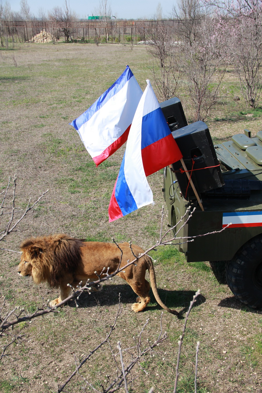 В сафари-парке «Тайган» отпраздновали воссоединение Крыма с Россией