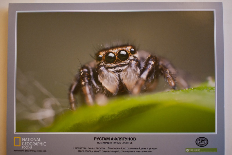 В Севастополе открылась выставка «National Geographic»