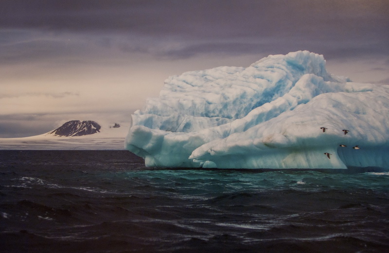 В Севастополе открылась выставка «National Geographic»