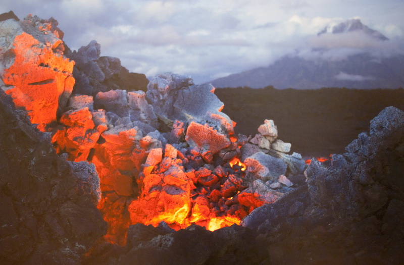 В Севастополе открылась выставка «National Geographic»