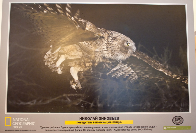 В Севастополе открылась выставка «National Geographic»