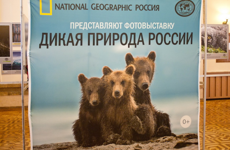 В Севастополе открылась выставка «National Geographic»