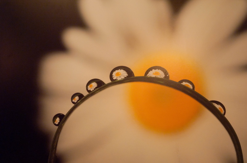 В Севастополе открылась выставка «National Geographic»