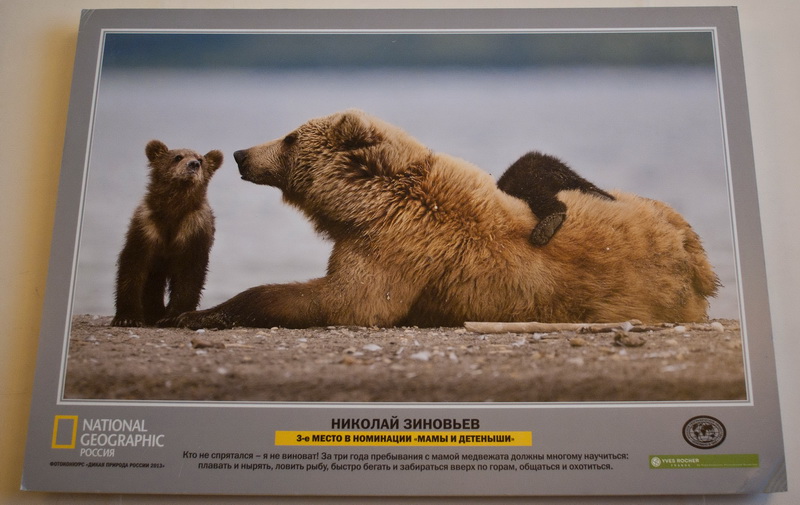 В Севастополе открылась выставка «National Geographic»