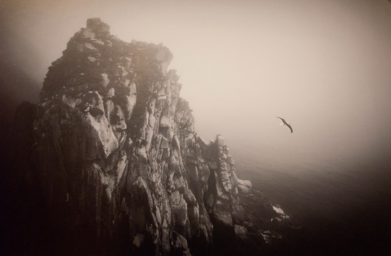 В Севастополе открылась выставка «National Geographic»