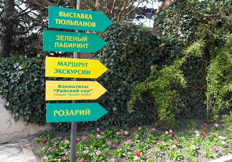 В Никитском ботаническом саду расцвели тюльпаны