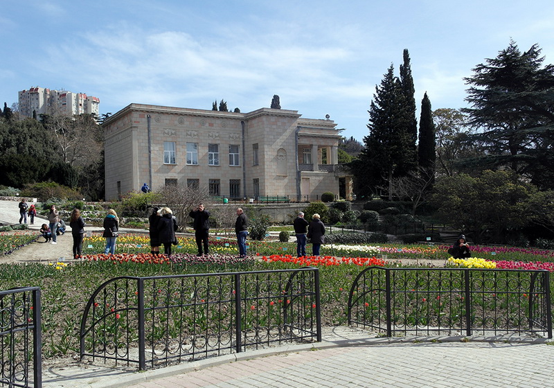 В Никитском ботаническом саду расцвели тюльпаны