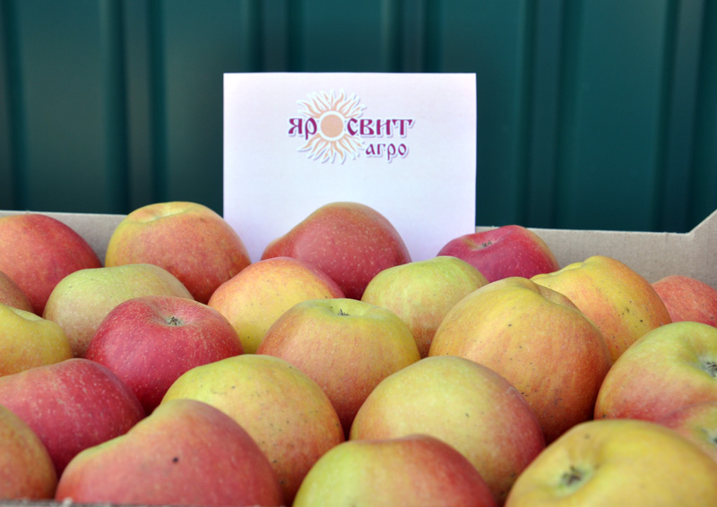 Министр сельского хозяйства РФ посетил предприятия Крыма