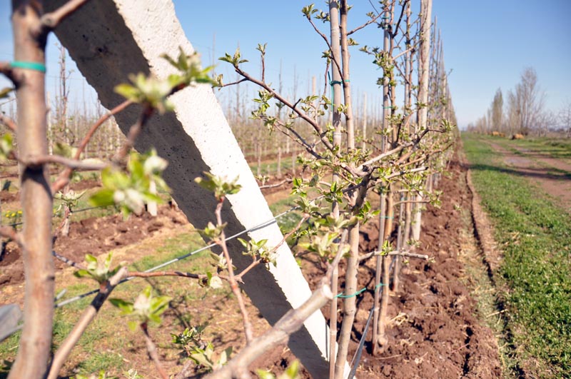 Министр сельского хозяйства РФ посетил предприятия Крыма