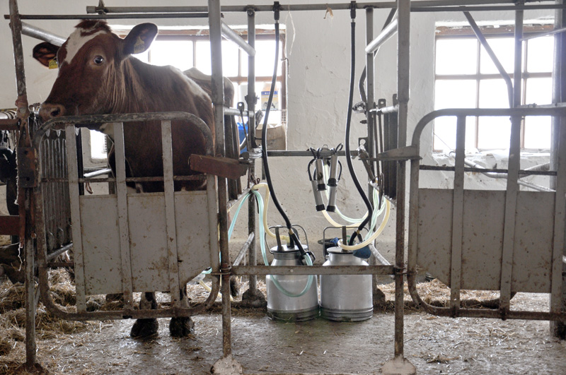 Министр сельского хозяйства РФ посетил предприятия Крыма