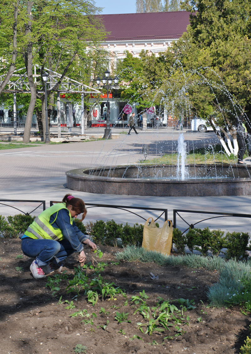 В сквере им. Тренева в Симферополе заработали фонтаны и зацвели клумбы