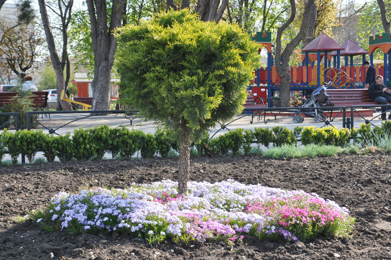 В сквере им. Тренева в Симферополе заработали фонтаны и зацвели клумбы