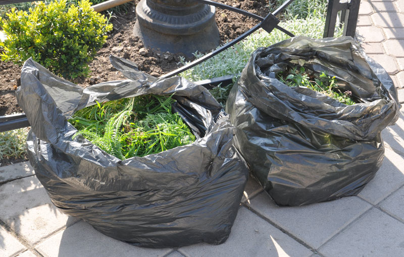 В сквере им. Тренева в Симферополе заработали фонтаны и зацвели клумбы