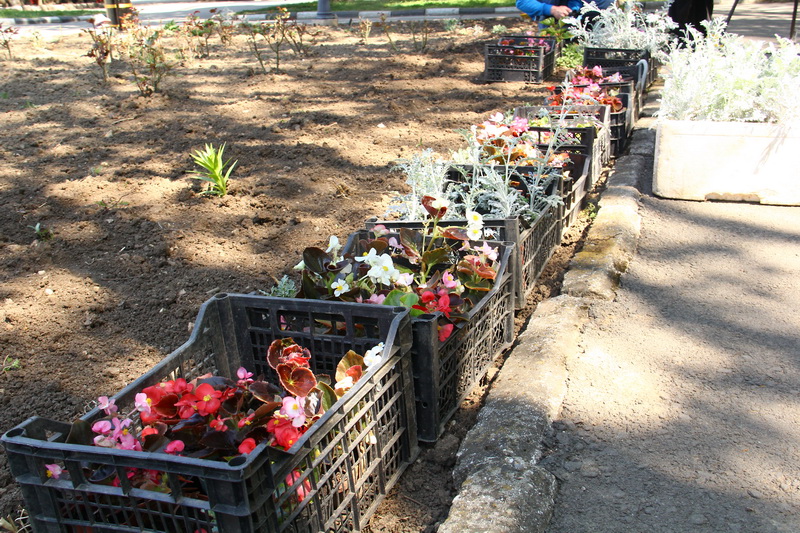 В реконструкцию Детского парка Симферополя вложат 5 млн. грн.