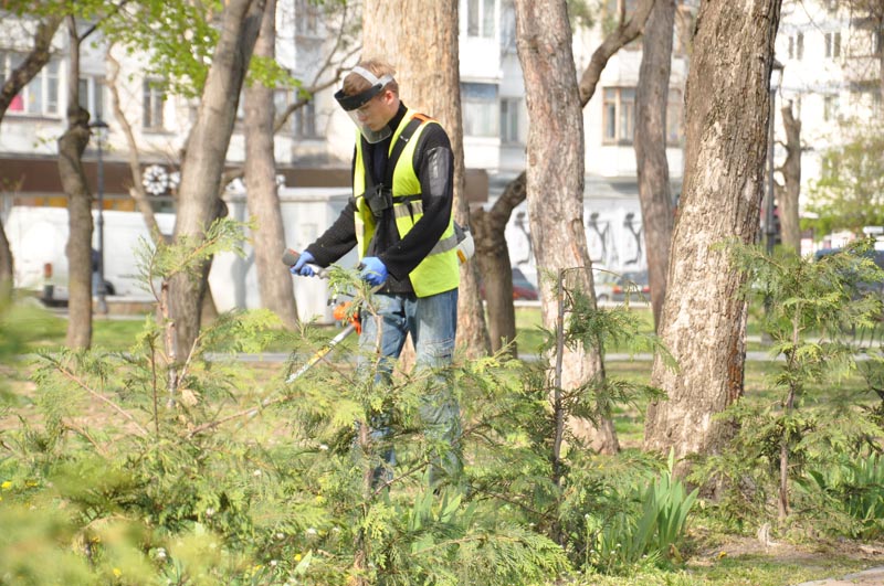 В Симферополе начался покос травостоя