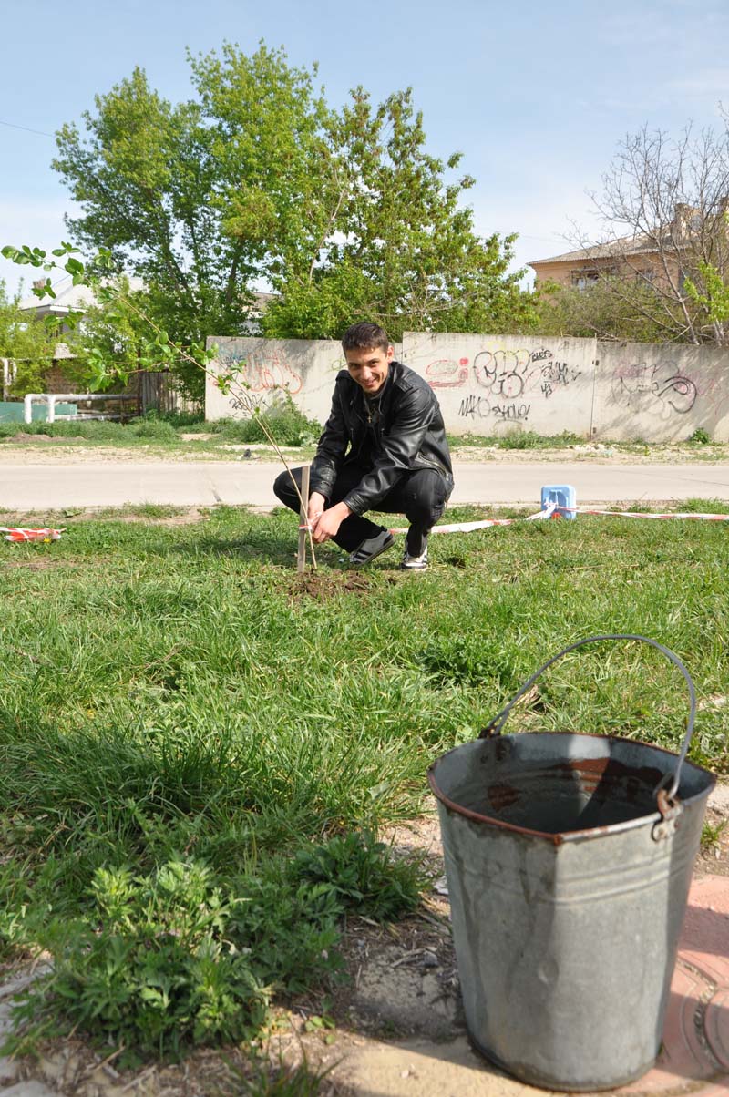 У библиотеки Франко в Симферополе высадили молодые деревья