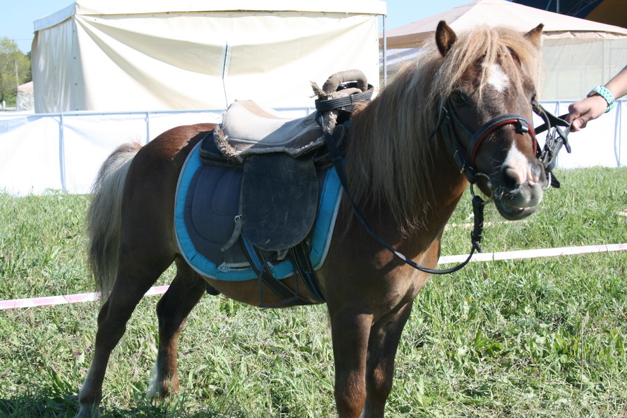 В Бахчисарае отменили празднование Хыдырлеза