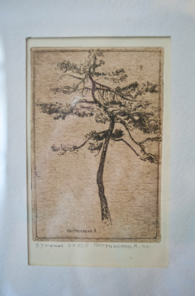 В Севастополе проходит выставка студенческих художественных работ