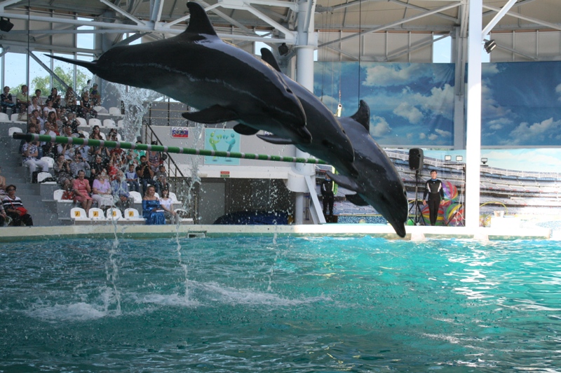 В Евпатории открылась международная туристическая выставка