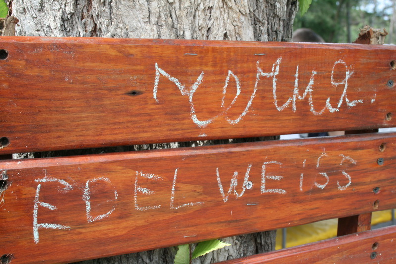 Дети из Чечни прибыли на отдых в Крым