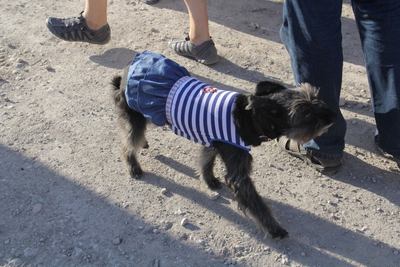 В Феодосии стартовал фестиваль рыбной кухни