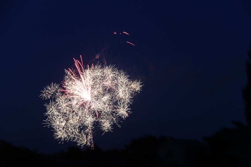 В Феодосии стартовал фестиваль рыбной кухни