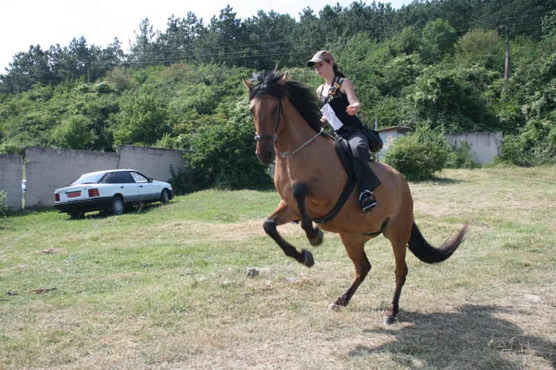На страусиной ферме в Симферопольском районе провели День семьи и спорта