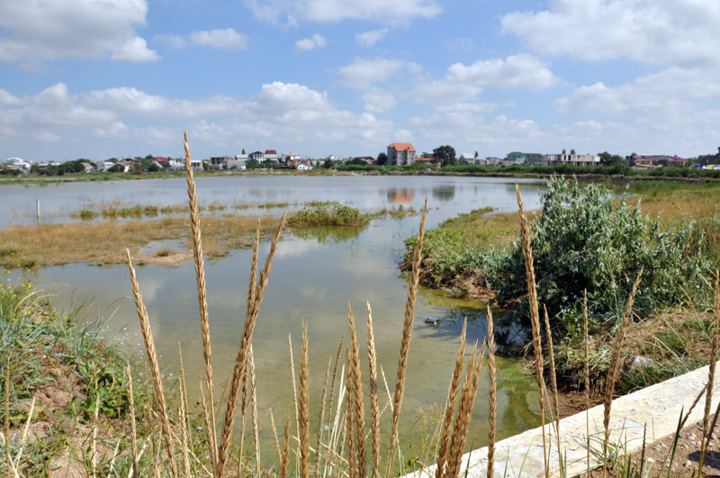 Экологи оценили ущерб от строительства дамбы на озере под Феодосией в 3 млн. рублей