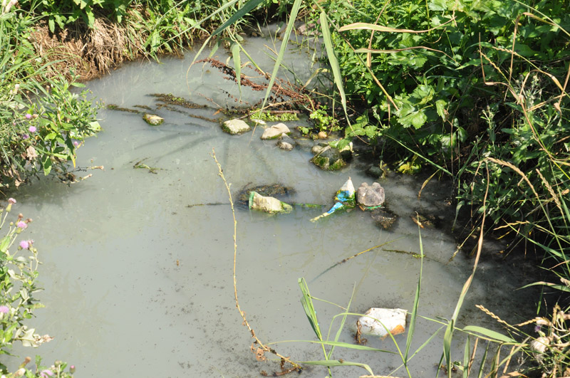 Экологи оценили ущерб от строительства дамбы на озере под Феодосией в 3 млн. рублей