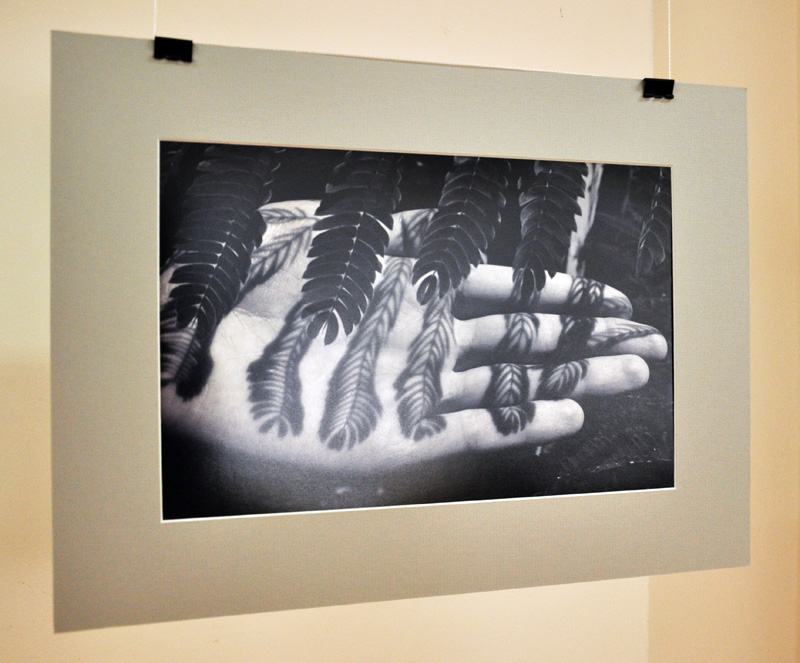 В День фотографа в Симферополе прошла фотовыставка