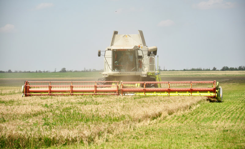 Вице-премьер Крыма поздравил хлеборобов с намолотым миллионом тонн зерна